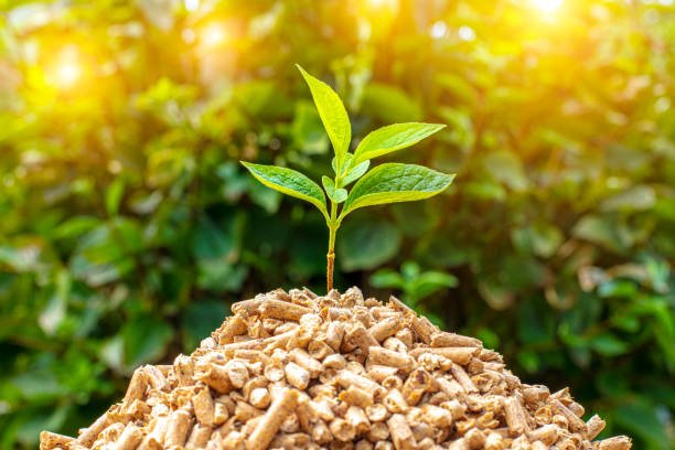 Biomass Fuel Pellets